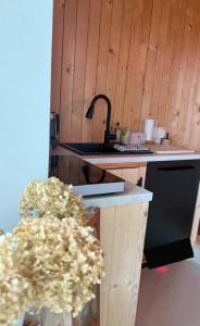 Ubytování TradiceJinak