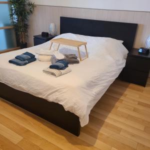 Appartements Loft de 130 m2 avec spa et billard au coeur de BREST : photos des chambres