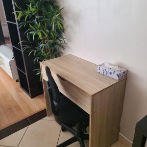 Appartements Loft de 130 m2 avec spa et billard au coeur de BREST : photos des chambres