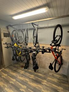 Studette 38 au coeur de Valence