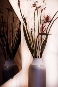 St Peter Vatican wonderfull view apartment