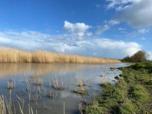 Ferienwohnung Rehkitz