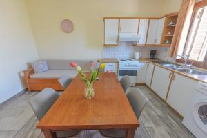 Modern Apartment in Ireon