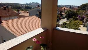 Exsplore Istra by boat