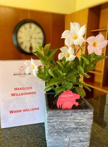 Gasthof zum Roten Löwen