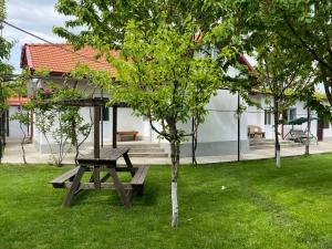 Casa Porumbelul Vama Veche