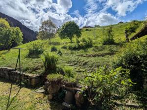 Chalet familial 8 pers, calme, nature à Beaufort - FR-1-342-335