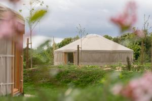 Hotels DOMAINE LE MEZO : photos des chambres
