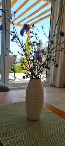 Sunrise Lodge Dapčevići - Montenegro