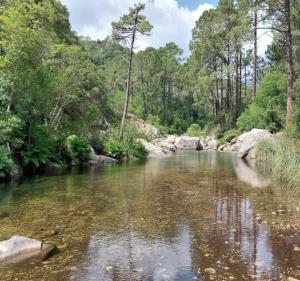 Campings La Vigne : photos des chambres