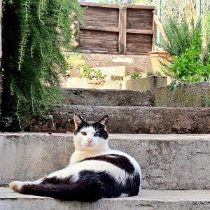 Apartment near the sea and port of Marina Veruda