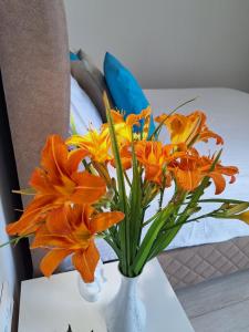 apartman stan Savina