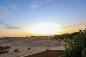 Desert Rose apartments