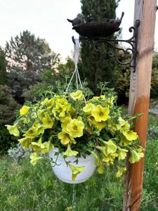 Villas Villa La Sittelle : Villa 3 Chambres