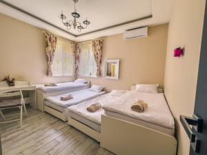 Central Groove - Family, Work, Travel