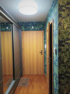 Apartament Łomnica
