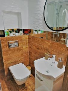 Apartament Łomnica