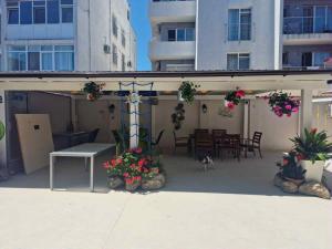 Virginia Mamaia-Nord