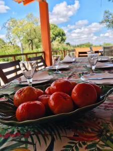 Country House in Coruche