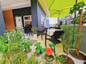 #2 Baguio City I Service Apartment I Deutsches Guesthouse & Homestay Baguio I Walking distance to Lourdes Grotto and nearby tourist attractions