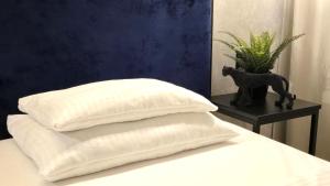Apartament - White Pearl - Biała Perła - Czarna Góra