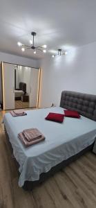 Apartament Petru