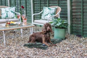 Stylish 2 Bedroom Property