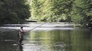 Magnifique hébergement en Rez de jardin