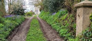 The Manse featuring the Daisy Camrose