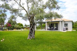 Aerinos private villa