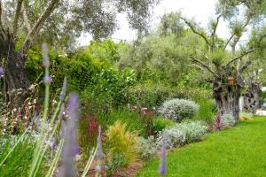 Aerinos private villa