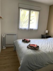 Appartements appartement t3 : photos des chambres