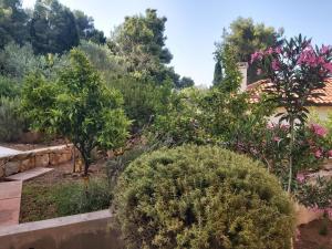 Apartman Anna