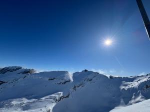 Appartements L'ecrin du Vercors : photos des chambres