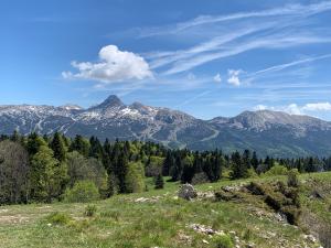 Appartements L'ecrin du Vercors : photos des chambres