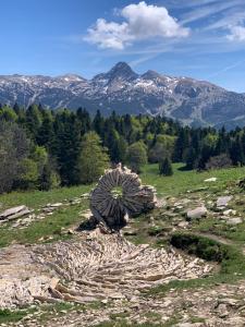 Appartements L'ecrin du Vercors : photos des chambres