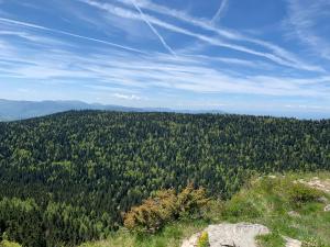 Appartements L'ecrin du Vercors : photos des chambres