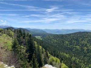 Appartements L'ecrin du Vercors : photos des chambres