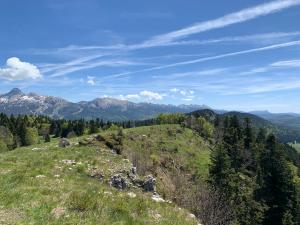 Appartements L'ecrin du Vercors : photos des chambres