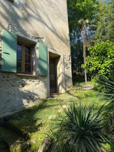 Appartements Bambou Studio, Cocon nature : photos des chambres