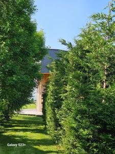 Maisons d'hotes LOGIS LAS CROZAS Le Mousseron orientable : photos des chambres