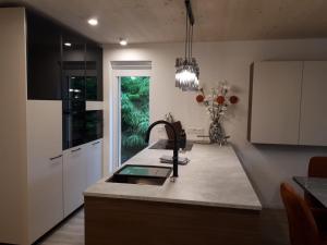 Schafberg Luxury Apartment