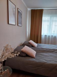 Saulės miesto apartamentai