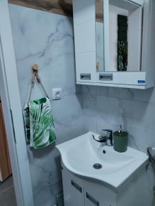 Jungle Srebrno Jezero