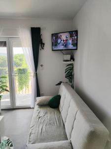 Jungle Srebrno Jezero