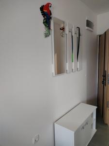 Jungle Srebrno Jezero