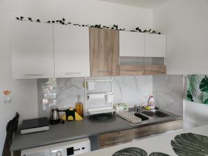 Jungle Srebrno Jezero