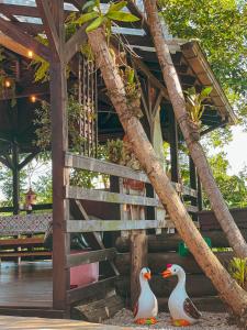 Sítio com piscina, churrasqueira, lareira, fogão à lenha, mesa de sinuca e vista para as montanhas