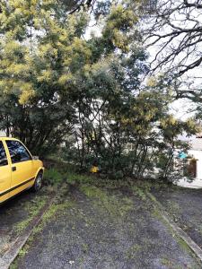 Maisons de vacances Maisonnette avec terrasse a 300m de la plage 2 etoiles : photos des chambres