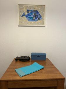 Apartments in Villa Ruza Beachfront Elegance on Europes Best Beach